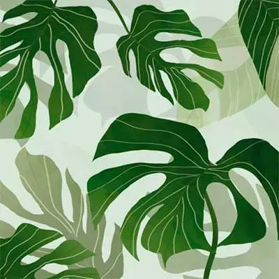Papiers peints
