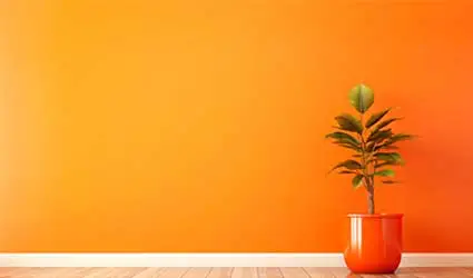 Peinture pour murs intérieurs, Peinture pour murs intérieurs, orange