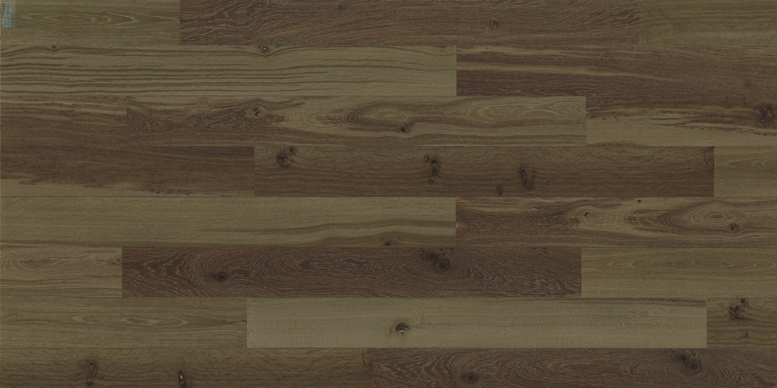 Beige Ocre