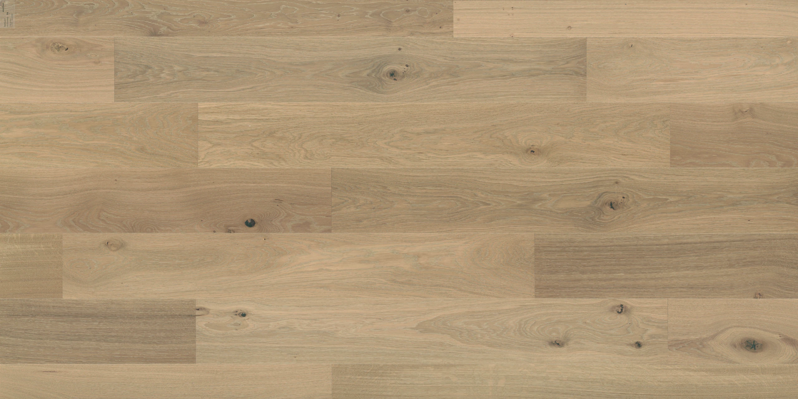 Beige Paille