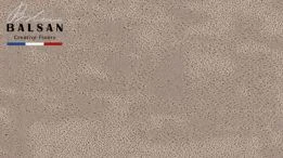 Louvre Brown 710